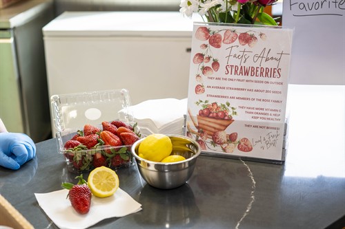 Let's Learn About Strawberries