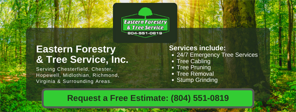 Eastern Forestry & Tree Service, Inc