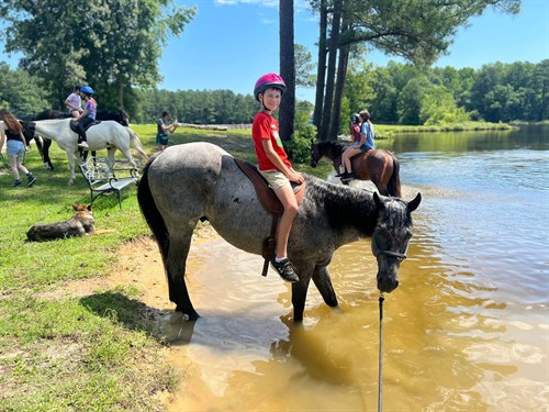 Gallery Image horse_riding.jpg