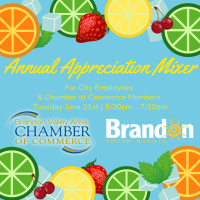 Annual Appreciation Mixer