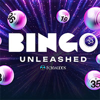 Bingo Unleashed