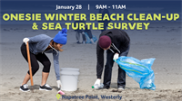 Onesie Winter Beach Clean-up & Sea Turtle Survey with Mystic Aquarium