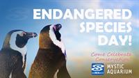 Endangered Species Day | Mystic Aquarium