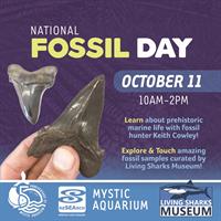 National Fossil Day with Fossil Hunter Keith Cowley at Mystic Aquarium