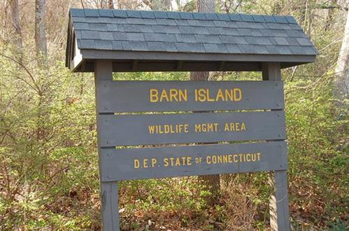 Barn Island Preserve Stonington CT