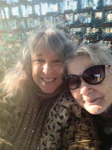 Gallery Image Kathy_lobster_tree_2025_(1)(1).jpg