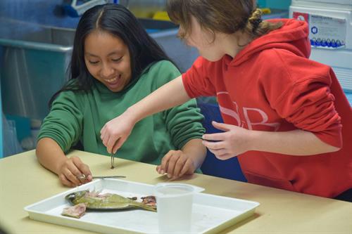 School & Group Classroom Experiences