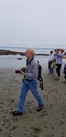 Butterflies & Insects with Bruce Fellman