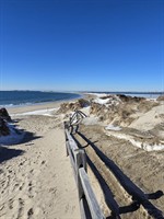 Natural History Walk