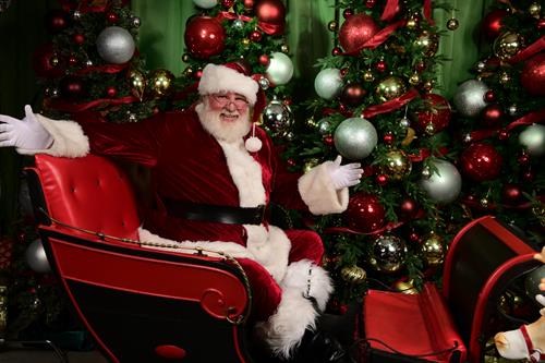 Gallery Image 2022_Santa_in_sleigh.jpg