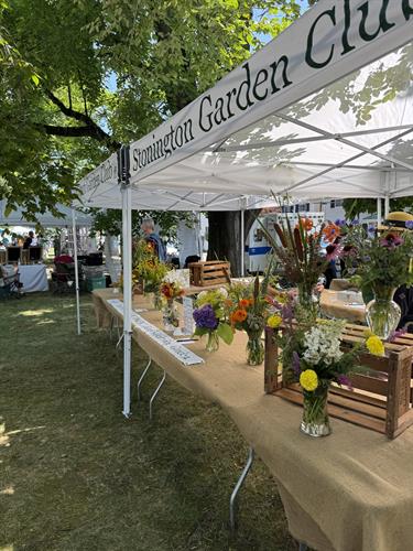 Gallery Image IMG_2535.JPG