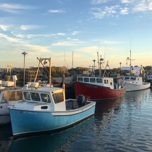 Town Docks & Fishing Fleet
