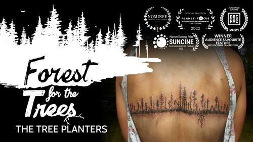 Forest for the Trees - The Tree Planters