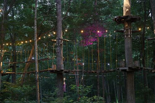 Night climbing at TreeTrails Mystic