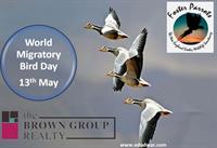The Brown Group Realty Community Event - Celebrate Migratory Birds Day Kids!  Let's Paint Bird Houses!