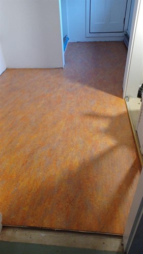 Marmoleum Asian Tiger Vivace 