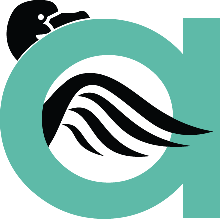 AMYVANSOLUTIONS AMYVANSOLUTIONS