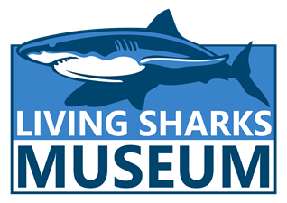 Living Sharks Museum