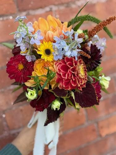 Gallery Image IMG_0475.jpg