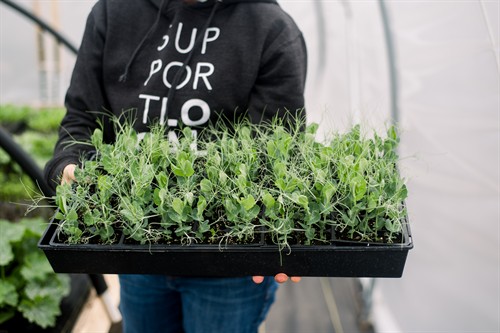 Gallery Image 1-9473.jpg