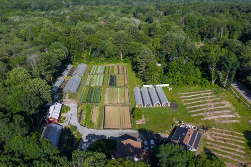 Gallery Image IMG_0741.JPG