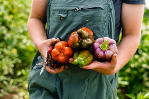 Gallery Image _DSC4014.jpg