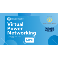Virtual Power Networking 
