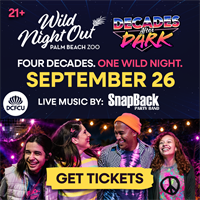 Wild Night Out - Decades After Dark