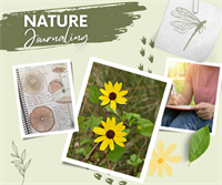 Nature Journaling Class