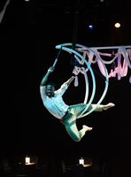 COSMOS: AntiGravity