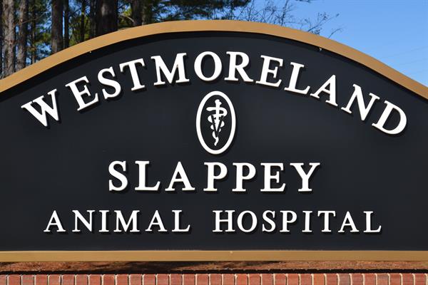 Westmoreland & Slappey Animal Hospital