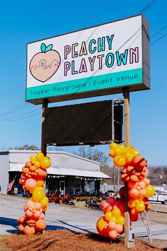 Gallery Image PeachyPlaytownRibbonCuttingandGrandOpening-193.jpg