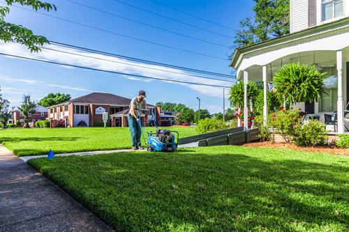 Aerating a lawn