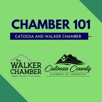 Chamber 101