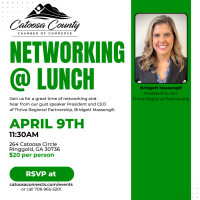 Networking at Lunch Chamber Luncheon (April '26)