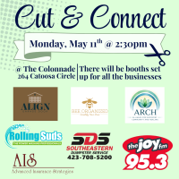 Cut & Connect