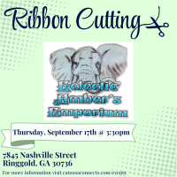 Eclectic Amber's Emporium Ribbon Cutting