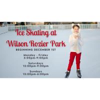 Ice Skating at Wilson Rozier Park 2023