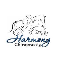 Ribbon Cutting for Harmony Chiropractic