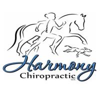 Harmony Chiropractic Health Goal Setting Workshop
