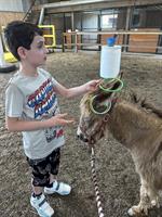 STALL-or-TREAT Client Horse Show