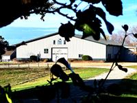 Emergency Equine First Aid Clinic