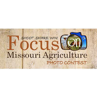 Focus on Missouri Agriculture Photo Contest