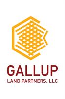 Gallup Land Partners/Gallup Flea Market