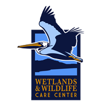 Wetlands and Wildlife Care Center