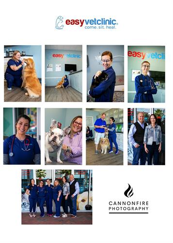 Gallery Image EasyVet_branding.jpg