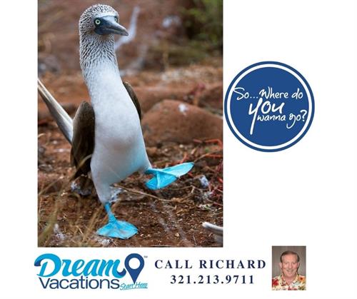 Gallery Image Blue_Footed_Booby_Dance._2.jpg