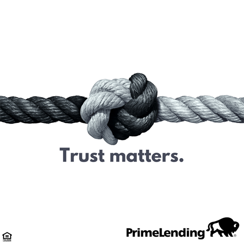 Gallery Image Trust_Campaign.png