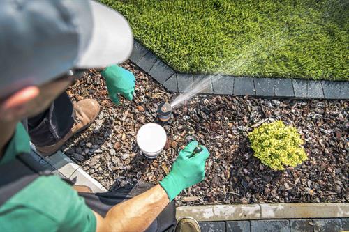 Gallery Image BrightwaterLandscaping6.jpg