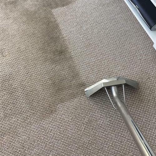 Gallery Image harbor-commercial-carpet-cleaning-before-after-central-florida.jpg